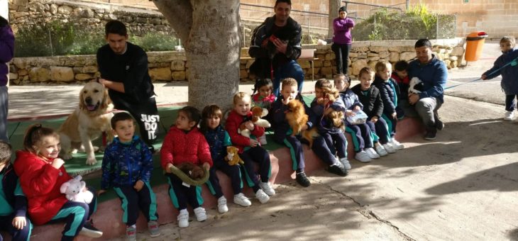 Kindergarten Classes celebrate Pet Day